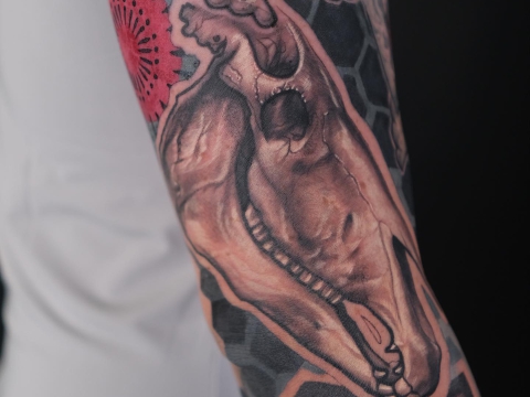 Hình xăm Hình học kết hợp với tả thực Đầu lâu Ngựa. Cánh tay của Johhny