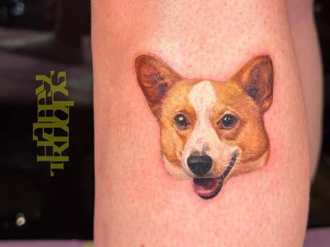 Hình xăm thú cưng đánh yêu 