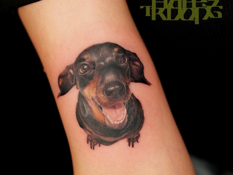 Hình xăm thú cưng đánh yêu 