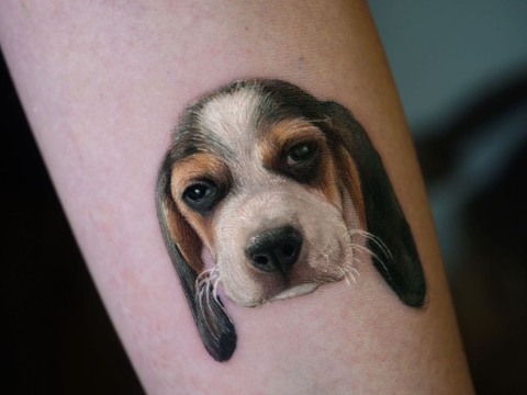 Hình xăm thú cưng đánh yêu 