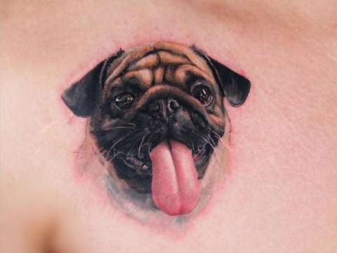 Hình xăm thú cưng đánh yêu 