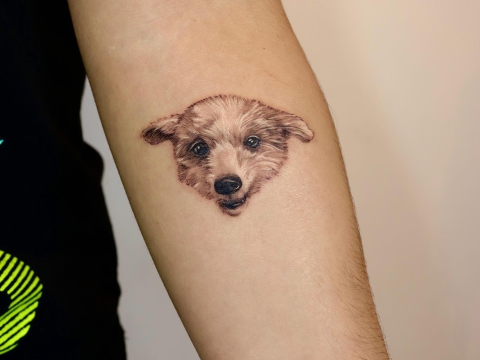 Hình xăm thú cưng đánh yêu 