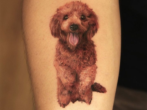 Hình xăm thú cưng đánh yêu 