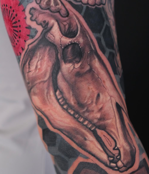 Hình xăm Hình học kết hợp với tả thực Đầu lâu Ngựa. Cánh tay của Johhny